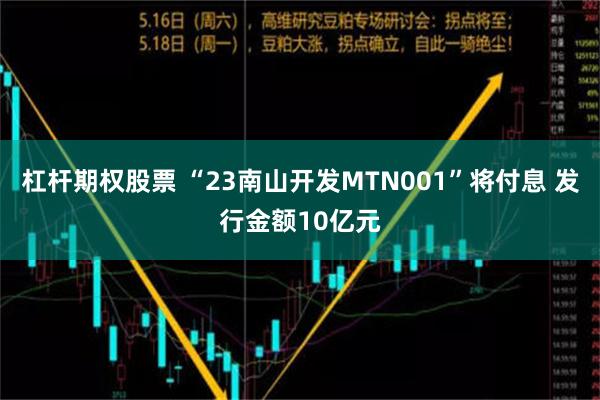 杠杆期权股票 “23南山开发MTN001”将付息 发行金额10亿元