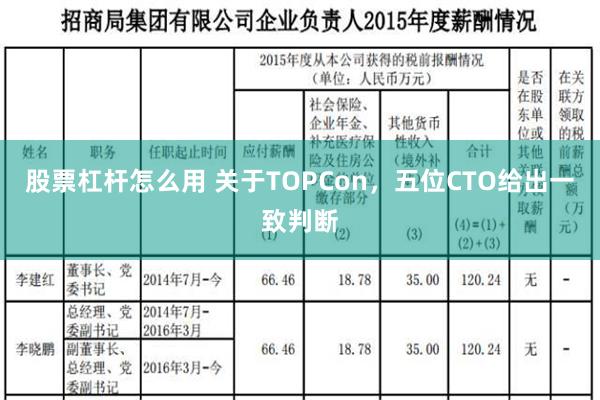 股票杠杆怎么用 关于TOPCon，五位CTO给出一致判断