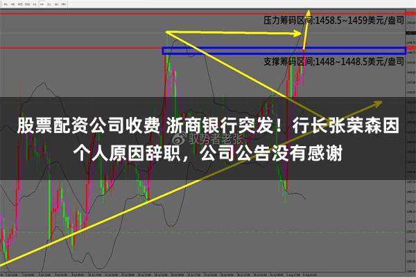 股票配资公司收费 浙商银行突发！行长张荣森因个人原因辞职，公司公告没有感谢