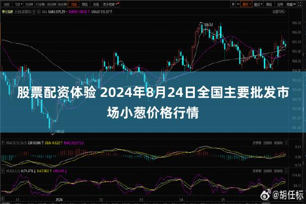 股票配资体验 2024年8月24日全国主要批发市场小葱价格行情