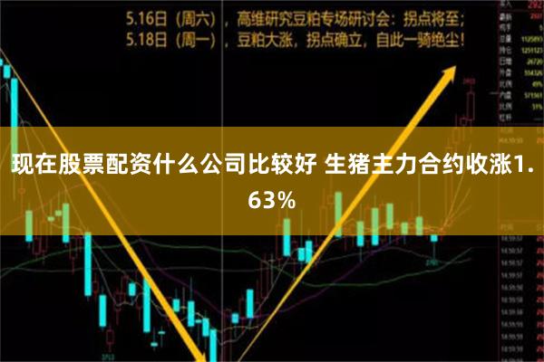 现在股票配资什么公司比较好 生猪主力合约收涨1.63%