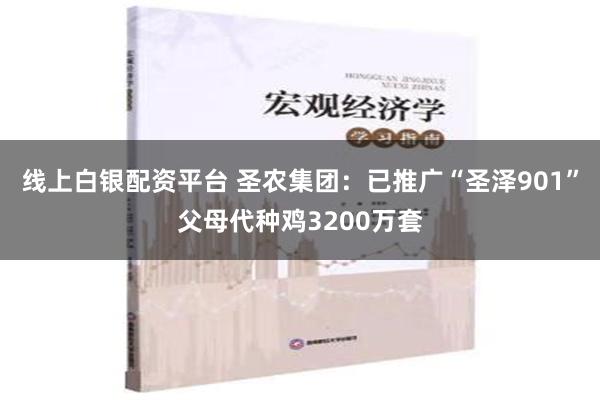 线上白银配资平台 圣农集团：已推广“圣泽901”父母代种鸡3200万套