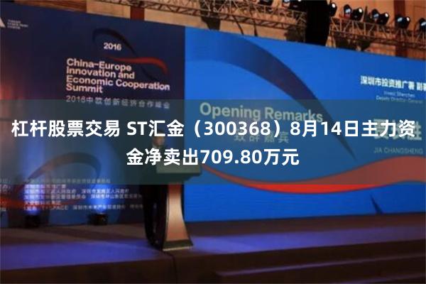 杠杆股票交易 ST汇金（300368）8月14日主力资金净卖出709.80万元