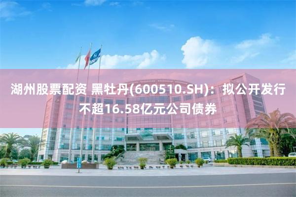 湖州股票配资 黑牡丹(600510.SH)：拟公开发行不超16.58亿元公司债券