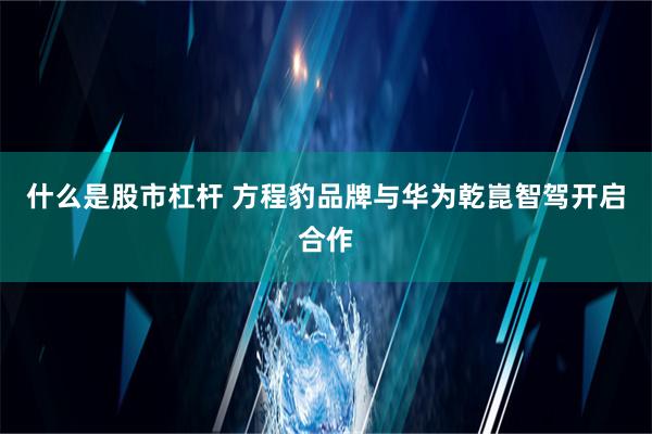 什么是股市杠杆 方程豹品牌与华为乾崑智驾开启合作