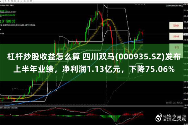 杠杆炒股收益怎么算 四川双马(000935.SZ)发布上半年业绩，净利润1.13亿元，下降75.06%