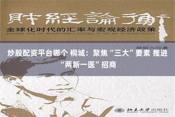 炒股配资平台哪个 桐城：聚焦“三大”要素 推进“两新一医”招商