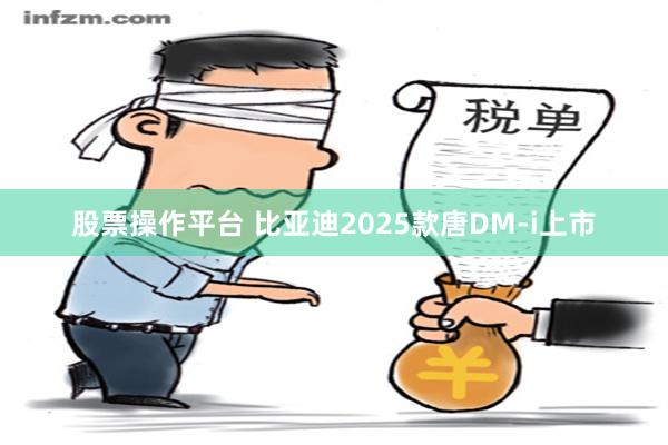 股票操作平台 比亚迪2025款唐DM-i上市