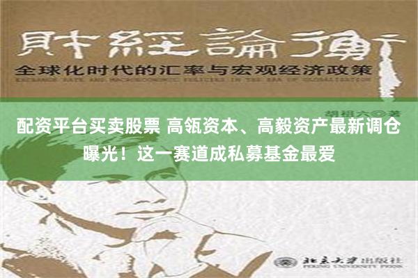 配资平台买卖股票 高瓴资本、高毅资产最新调仓曝光！这一赛道成私募基金最爱