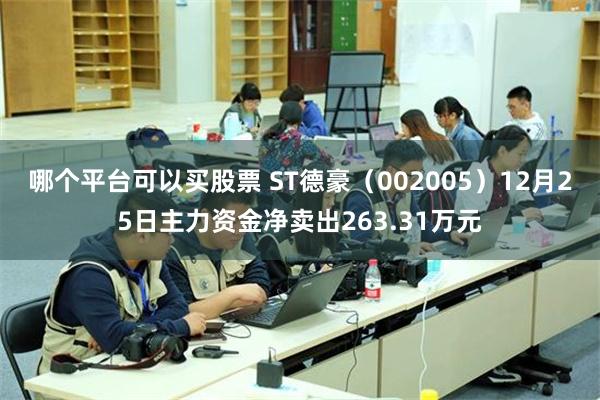 哪个平台可以买股票 ST德豪（002005）12月25日主力资金净卖出263.31万元