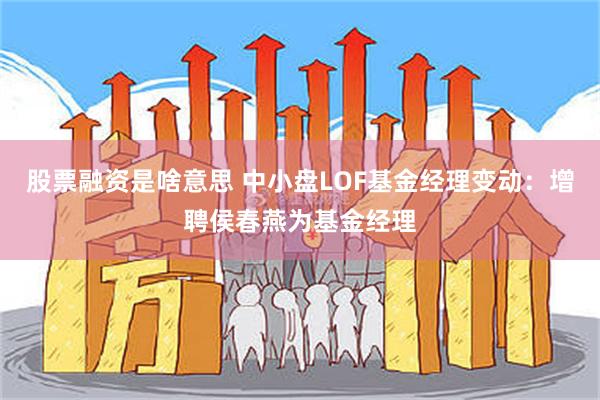 股票融资是啥意思 中小盘LOF基金经理变动：增聘侯春燕为基金经理