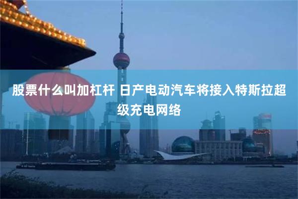 股票什么叫加杠杆 日产电动汽车将接入特斯拉超级充电网络