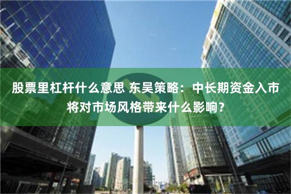 股票里杠杆什么意思 东吴策略：中长期资金入市将对市场风格带来什么影响？