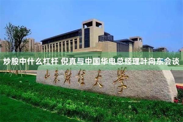 炒股中什么杠杆 倪真与中国华电总经理叶向东会谈